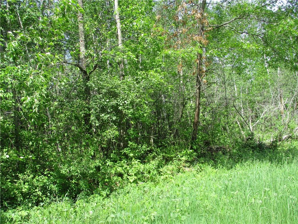 LOT #16 BLOCK 25 EDEN Avenue , Birchwood, WI