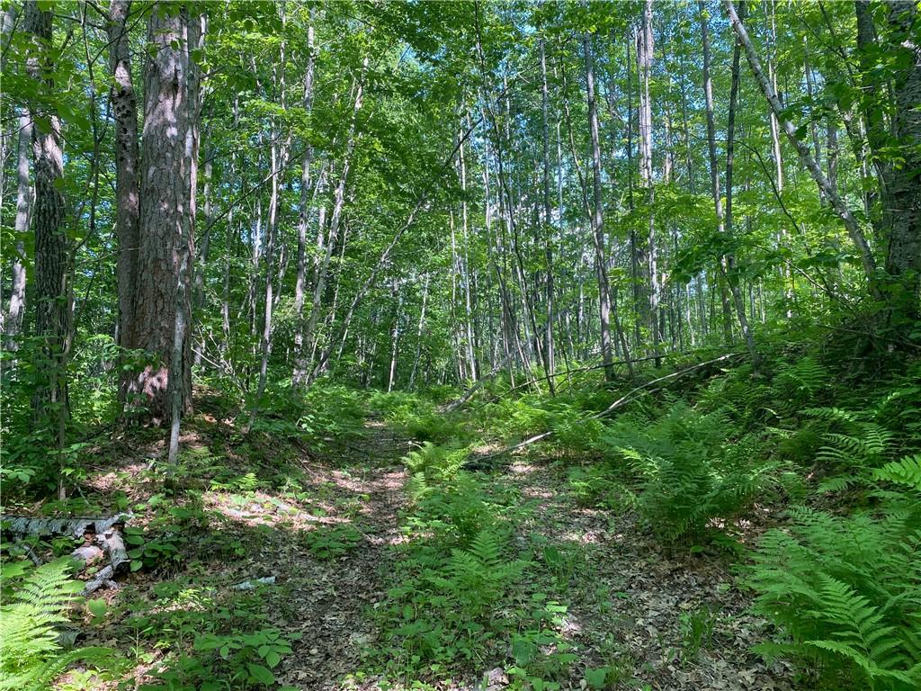 Lot 7 Secluded Trail, Hayward, WI