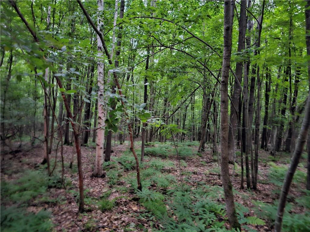  Old Hwy D , Holcombe, WI