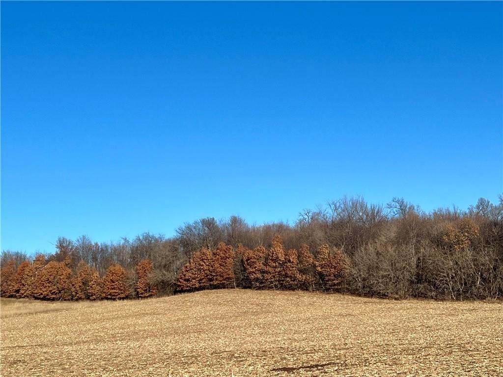 Lot 4 28th Avenue, Elk Mound, WI