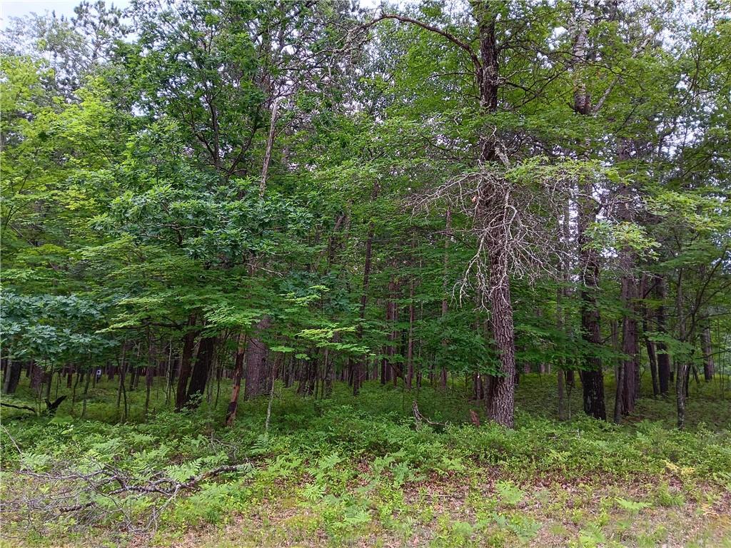 Lot 30 Great Bear Passage, Danbury, WI