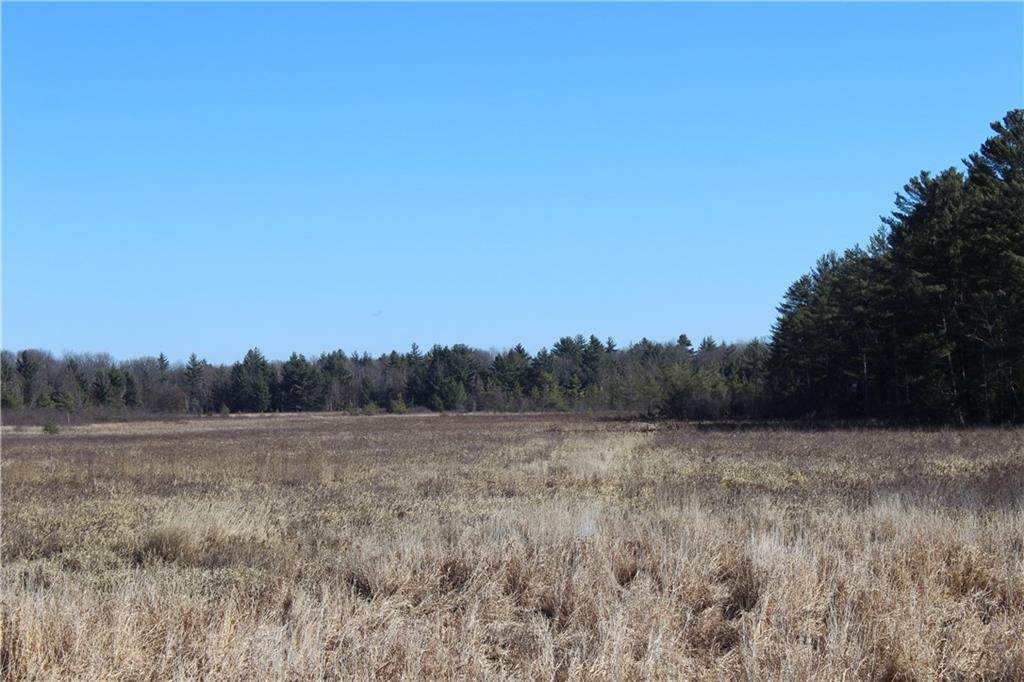 Maple Road - 20 acres, Neillsville, WI