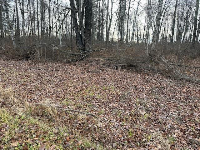 Lot 1 Smith Road, Exeland, WI 54835