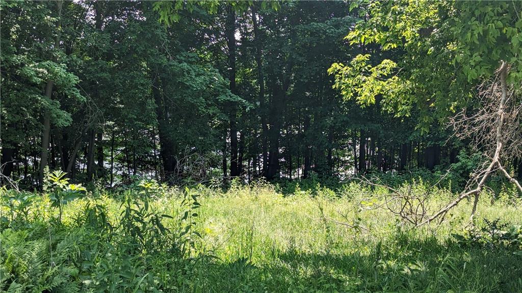 Lot 3 175th Ave, Bloomer, WI 54724 Listing Photo  11