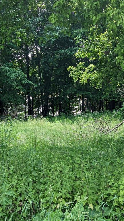 Lot 3 175th Ave, Bloomer, WI 54724 Listing Photo  12