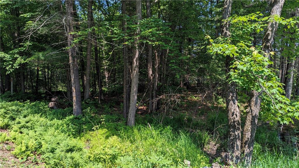 Lot 1 165th Ave, Bloomer, WI 54724 Listing Photo  1