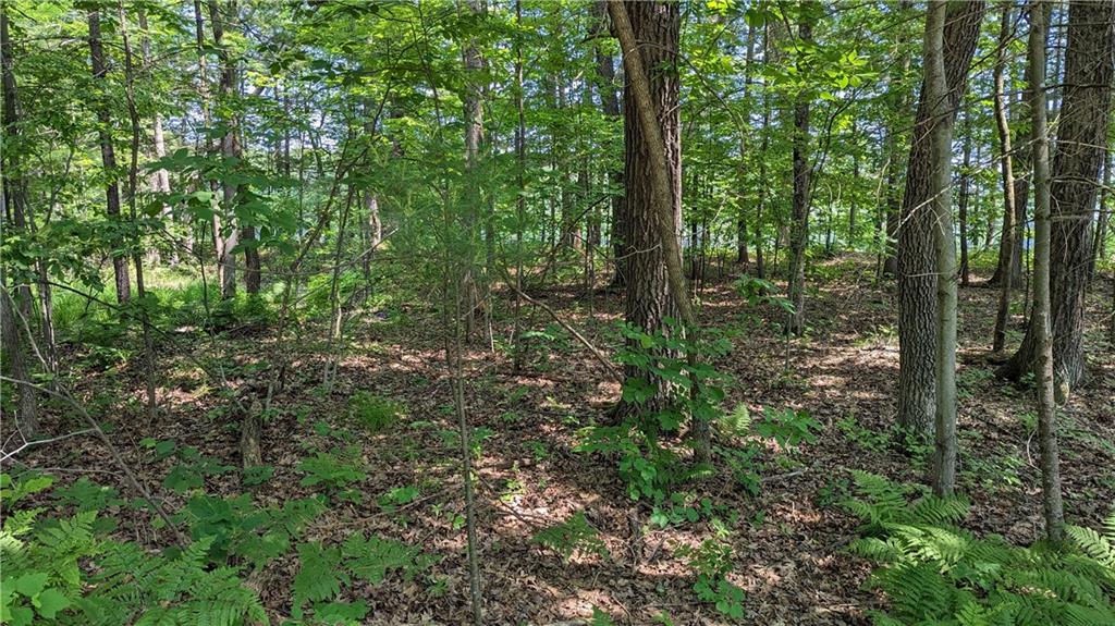 Lot 1 165th Ave, Bloomer, WI 54724 Listing Photo  4