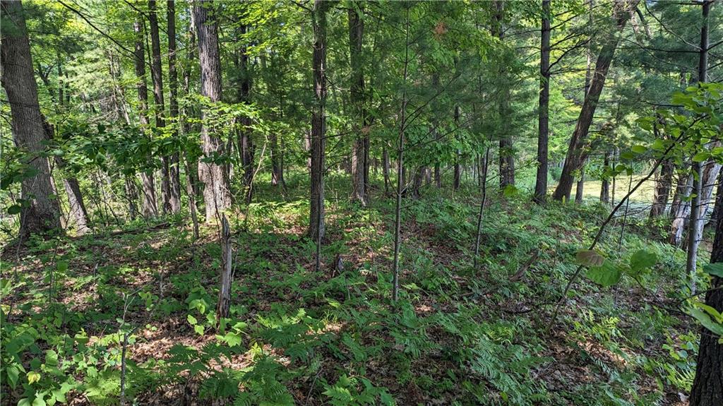 Lot 1 165th Ave, Bloomer, WI 54724 Listing Photo  5