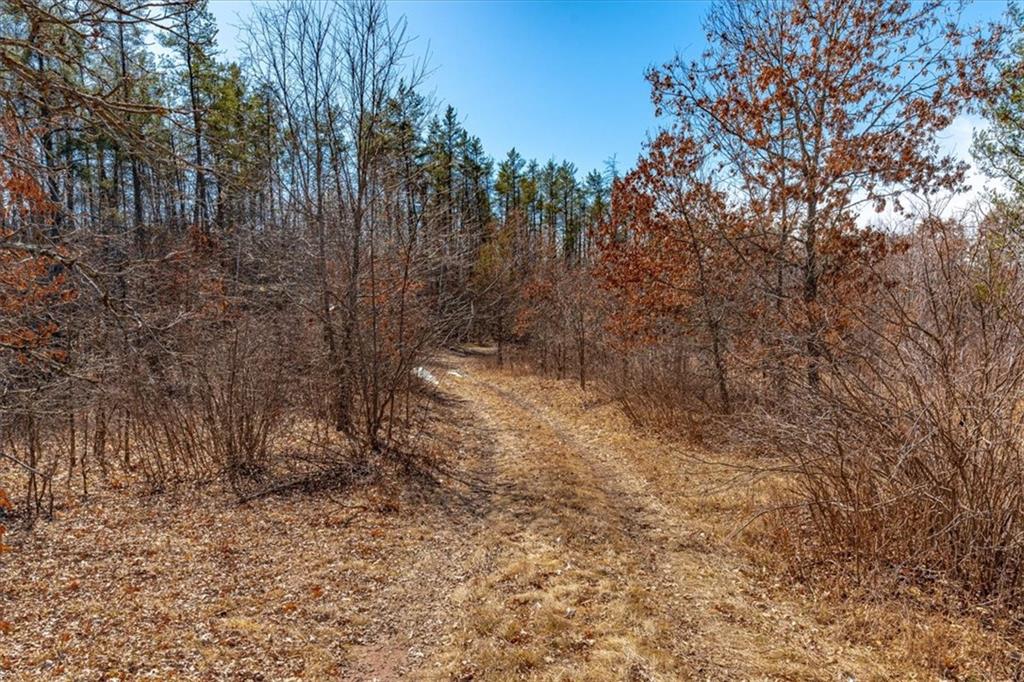 xxx 20 acres Tranus Lake Road, Springbrook, WI