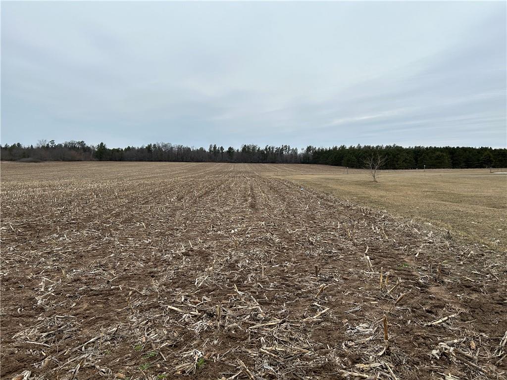 22 Acres 210th Street, Cadott, WI