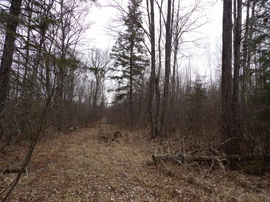 40+/- Acres Off Wright Road, Winter, WI