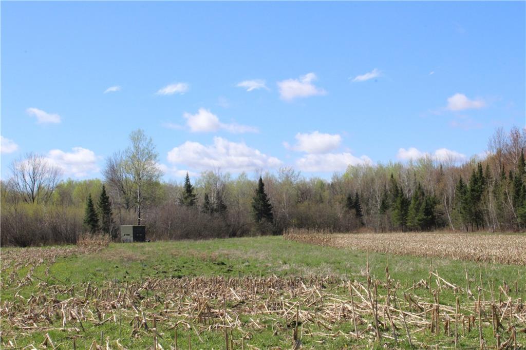  County Rd. M - 32 acres , Ogema, WI