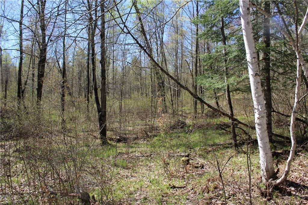  Cty. Road M - 46 acres , Ogema, WI