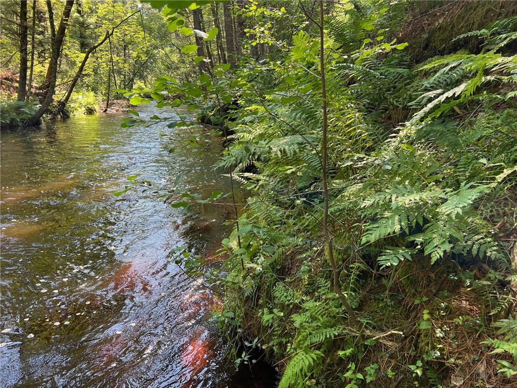 Lot 2 Old Cty I Road, Black River Falls, WI