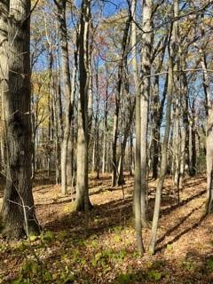 79 acres 270th St , Clear Lake, WI