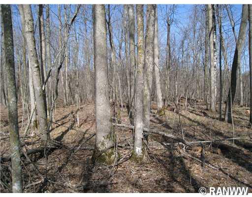  Hungry Lake Road , Weyerhaeuser, WI