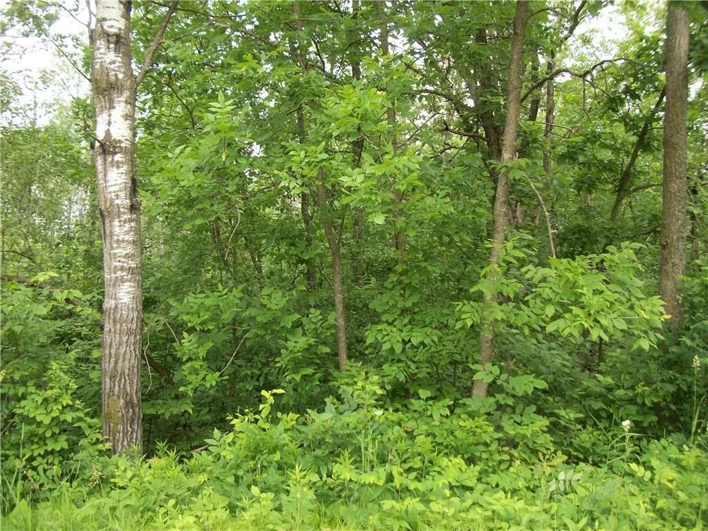 Lot 11 Somerset Place , Birchwood, WI