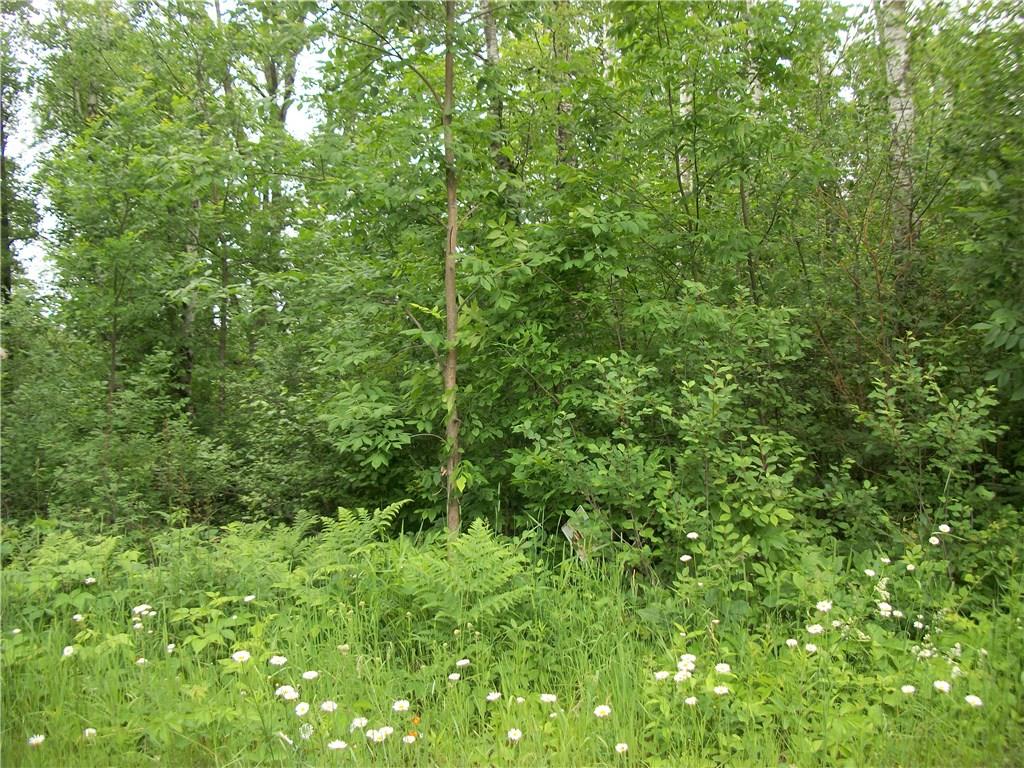 Lot 12 Somerset Place , Birchwood, WI