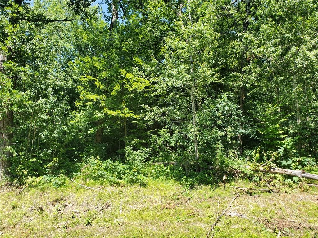 Lot 7 246th Street , Eureka, WI