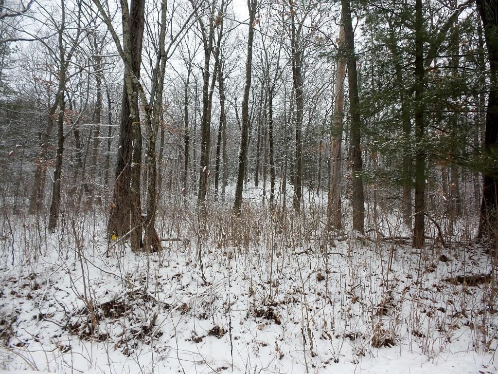 Lot 2, 7 Acres Blueberry Road , Warrens, WI