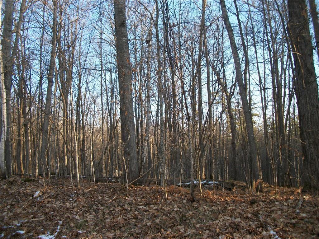 LOT #58 Woods (BIRCH SUB) Avenue , Birchwood, WI