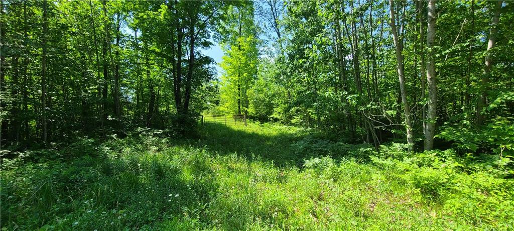 Lot 0 Nelson Lake Road , Hayward, WI