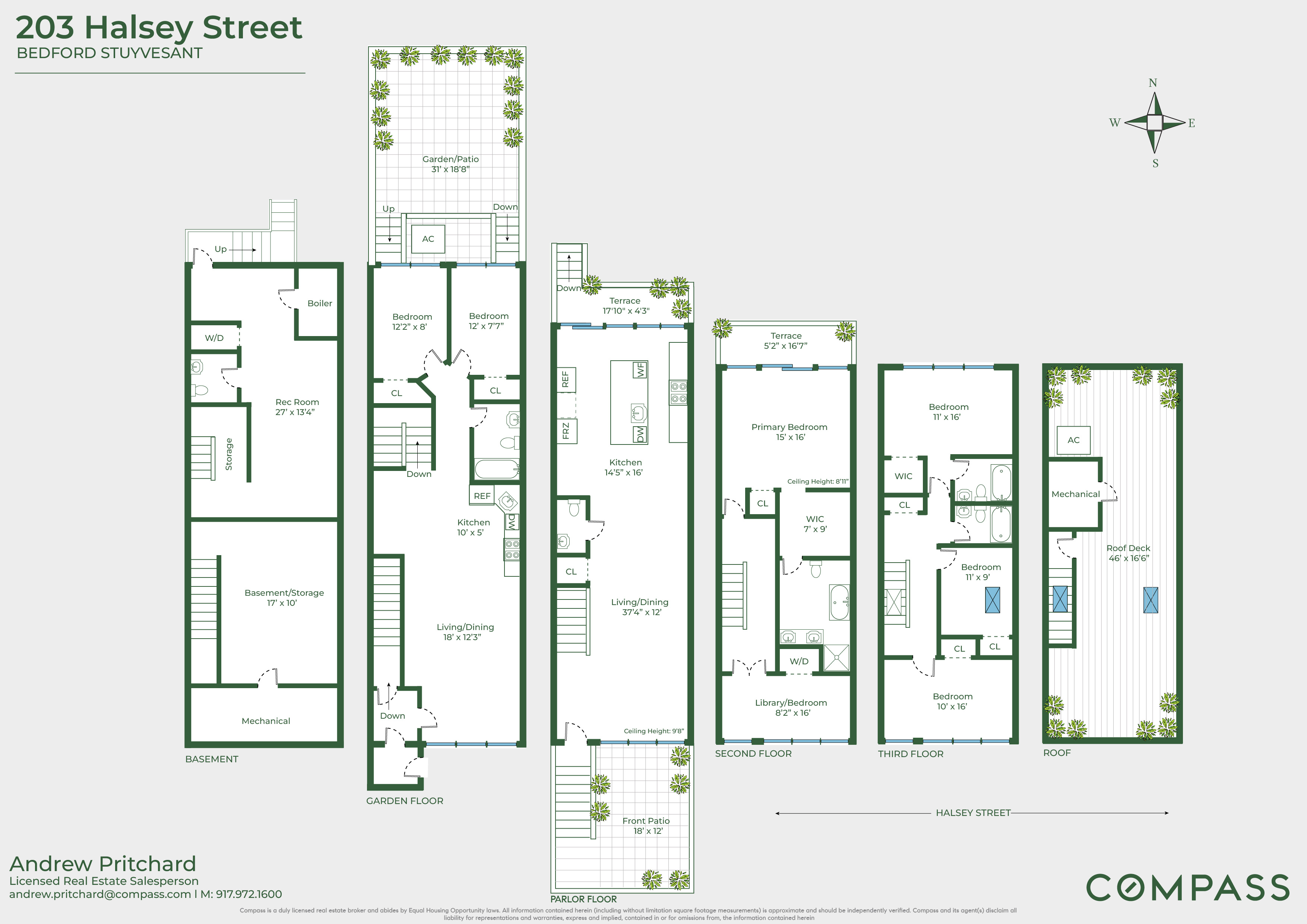 Floorplan for 203 Halsey Street