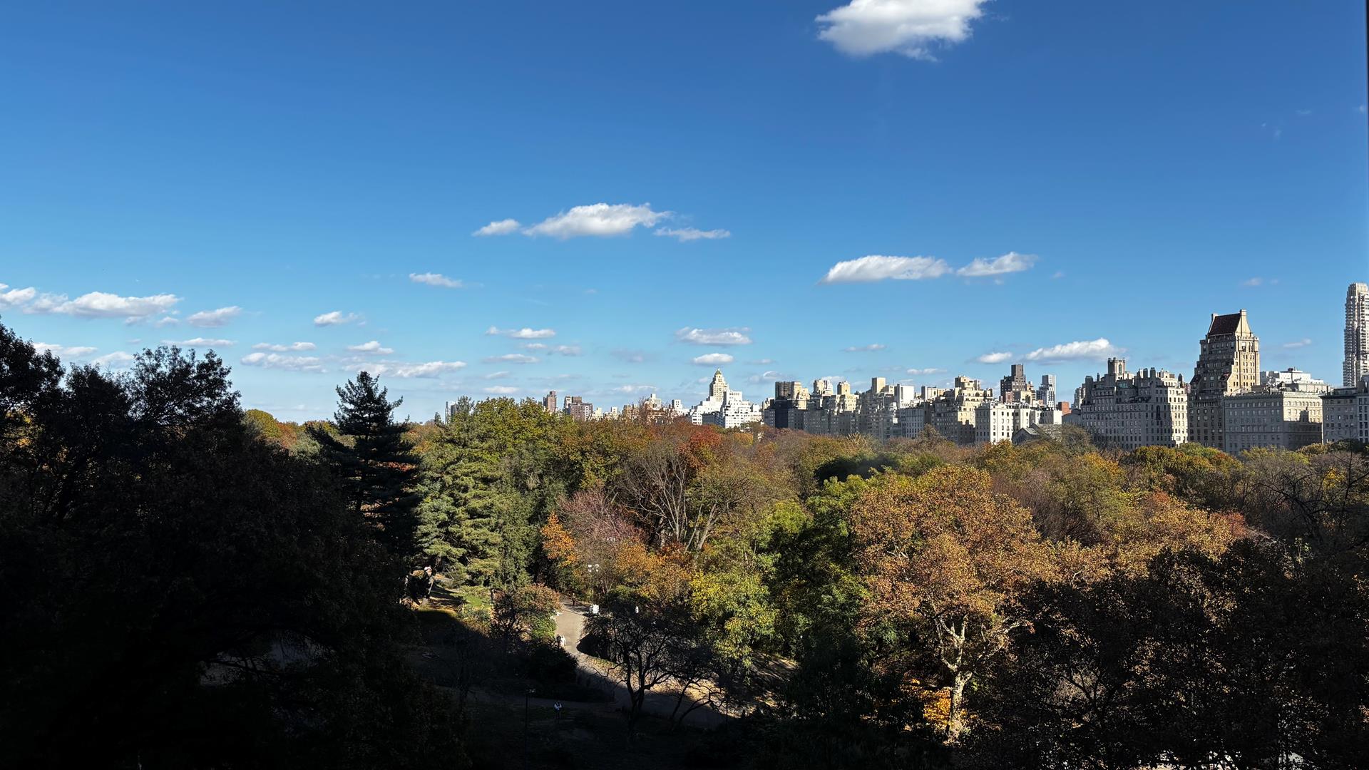 116 Central Park 8N, Central Park South, Midtown West, NYC - 2 Bedrooms  
2 Bathrooms  
7 Rooms - 