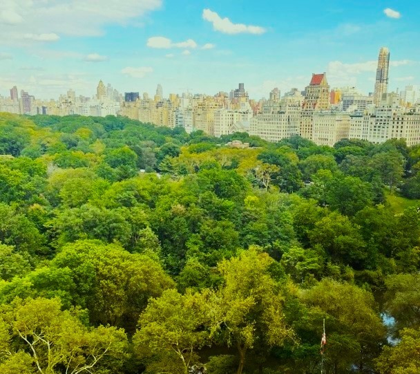 106 Central Park 18A, Theater District, Midtown West, NYC - 3 Bedrooms  
3.5 Bathrooms  
6 Rooms - 