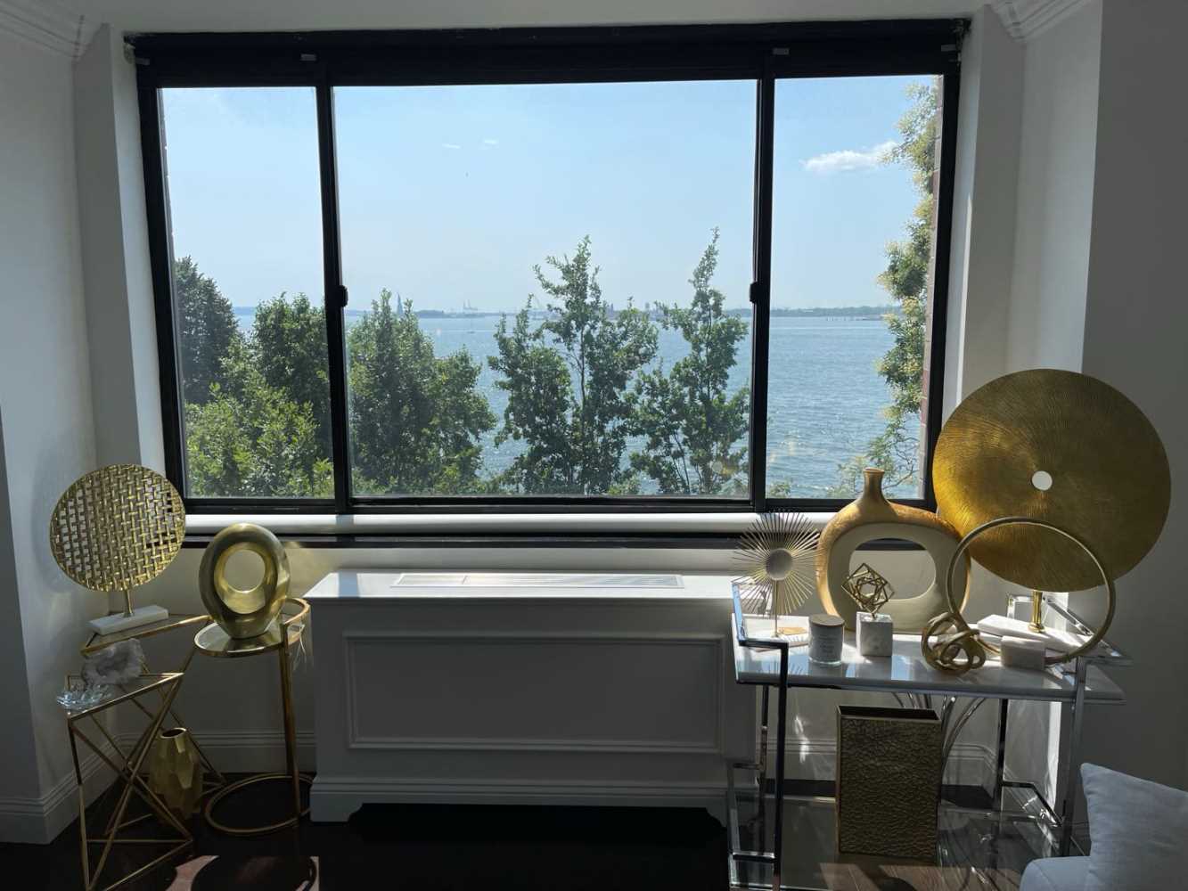 377 Rector Place 4L, Battery Park City, Downtown, NYC - 1 Bedrooms  
1 Bathrooms  
3 Rooms - 