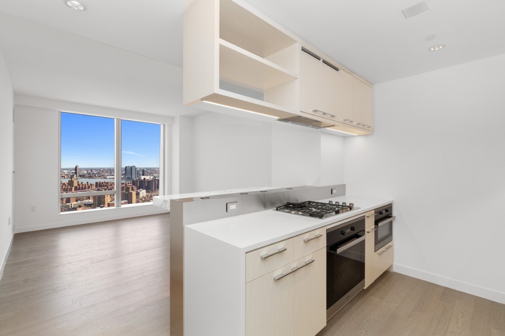 252 South Street 42F, Lower East Side, Downtown, NYC - 1 Bedrooms  
1 Bathrooms  
3 Rooms - 