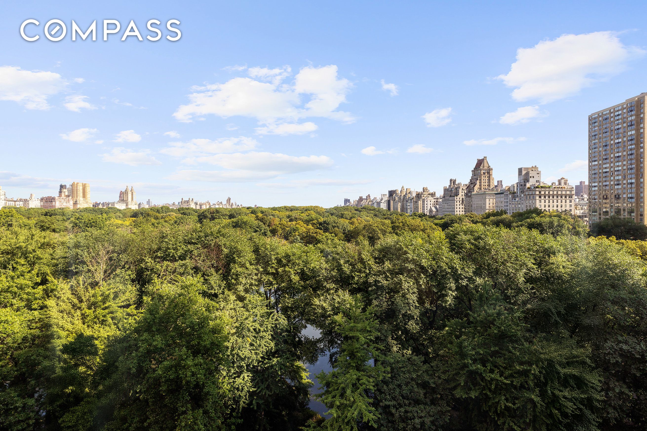 Photo 1 of 1 Central Park 8010203, Midtown West, NYC, $28,250,000, Web #: 1086918378