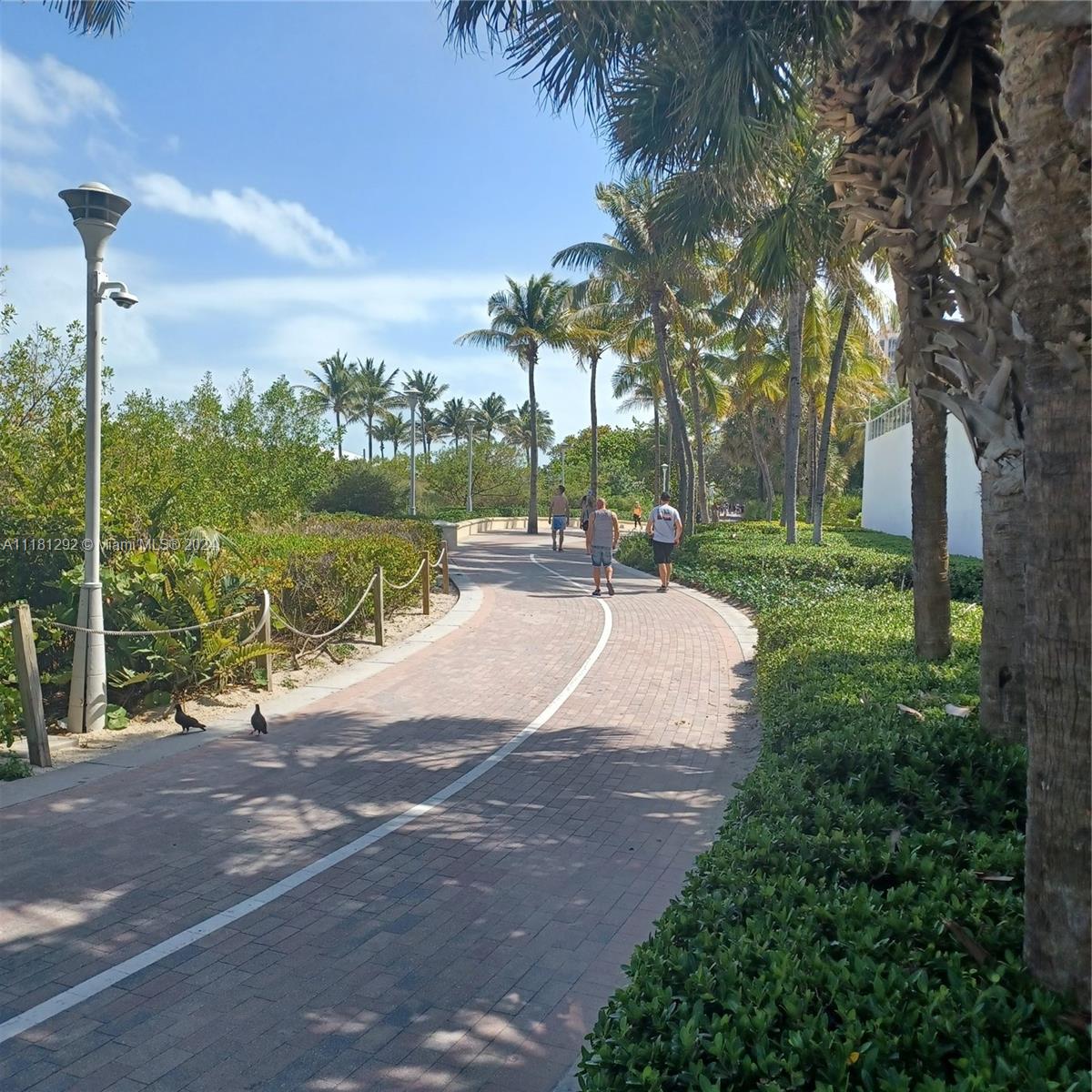 100 Lincoln Rd #1206, Miami Beach, Florida image 16