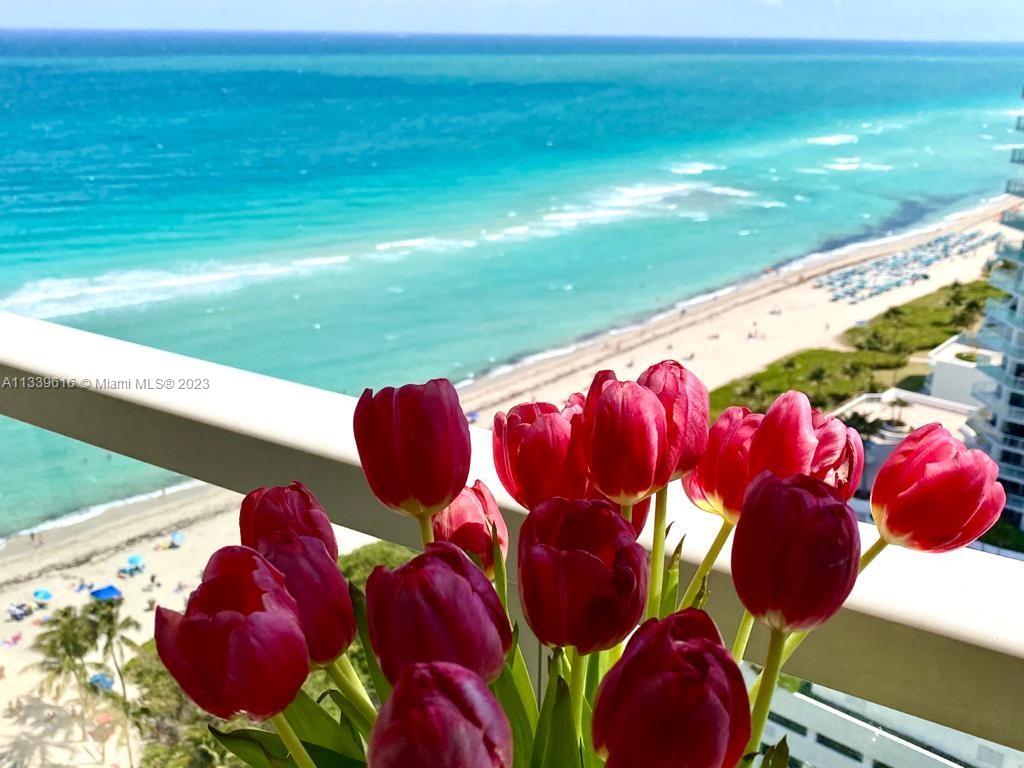 Apartamento para Alugar em Sunny Isles Beach, FL