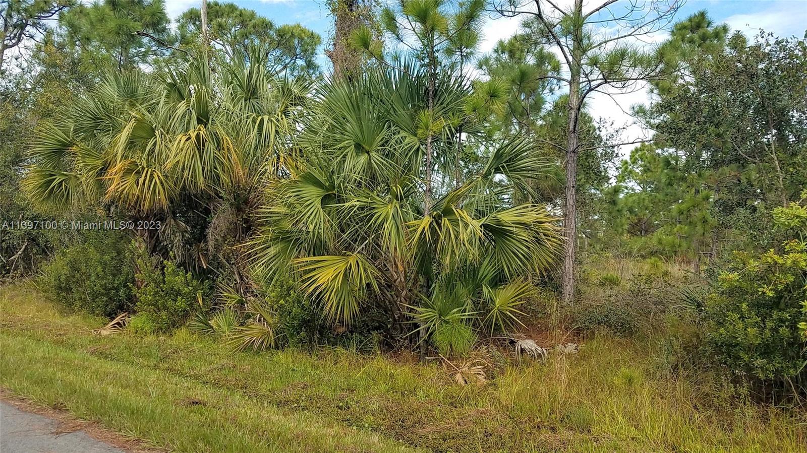 26318 Hapsburg Rd, Punta Gorda, Florida image 6