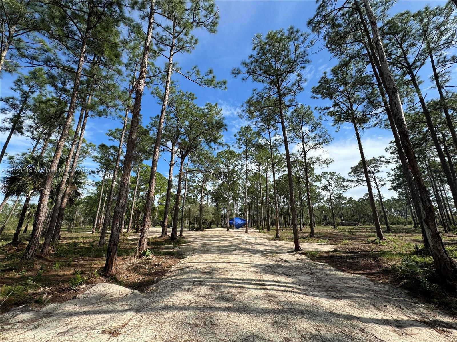 4355 Pioneer 10th Street, Clewiston, Florida image 13