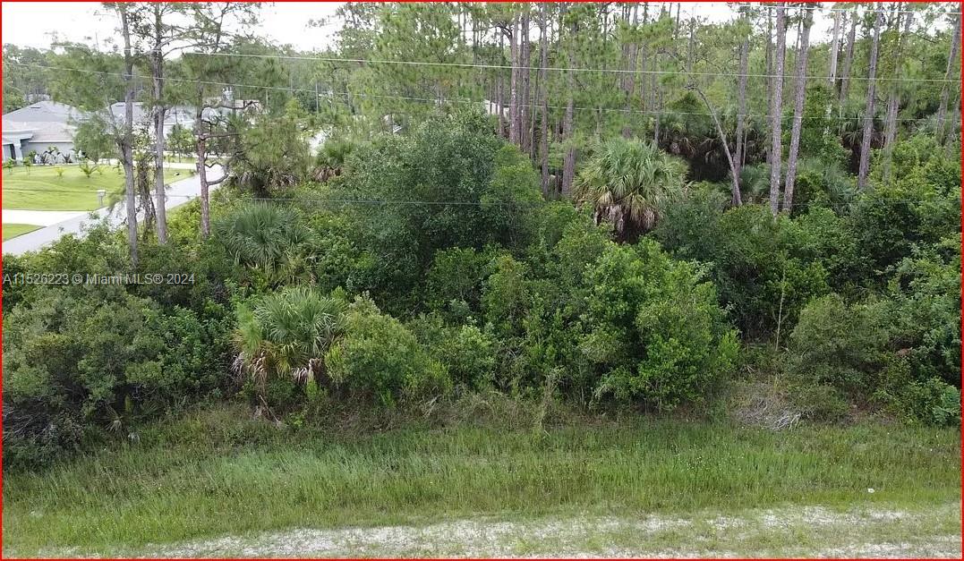 209 Woodburn, Lehigh Acres, Florida image 3