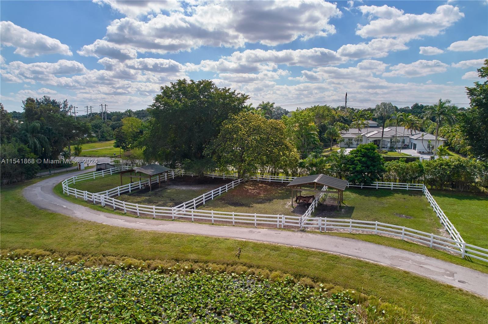 14101 Luray Rd, Southwest Ranches, Florida image 13