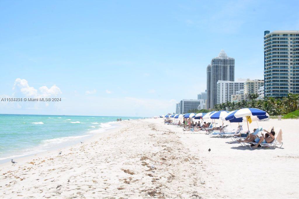 5151 Collins Ave #427, Miami Beach, Florida image 2