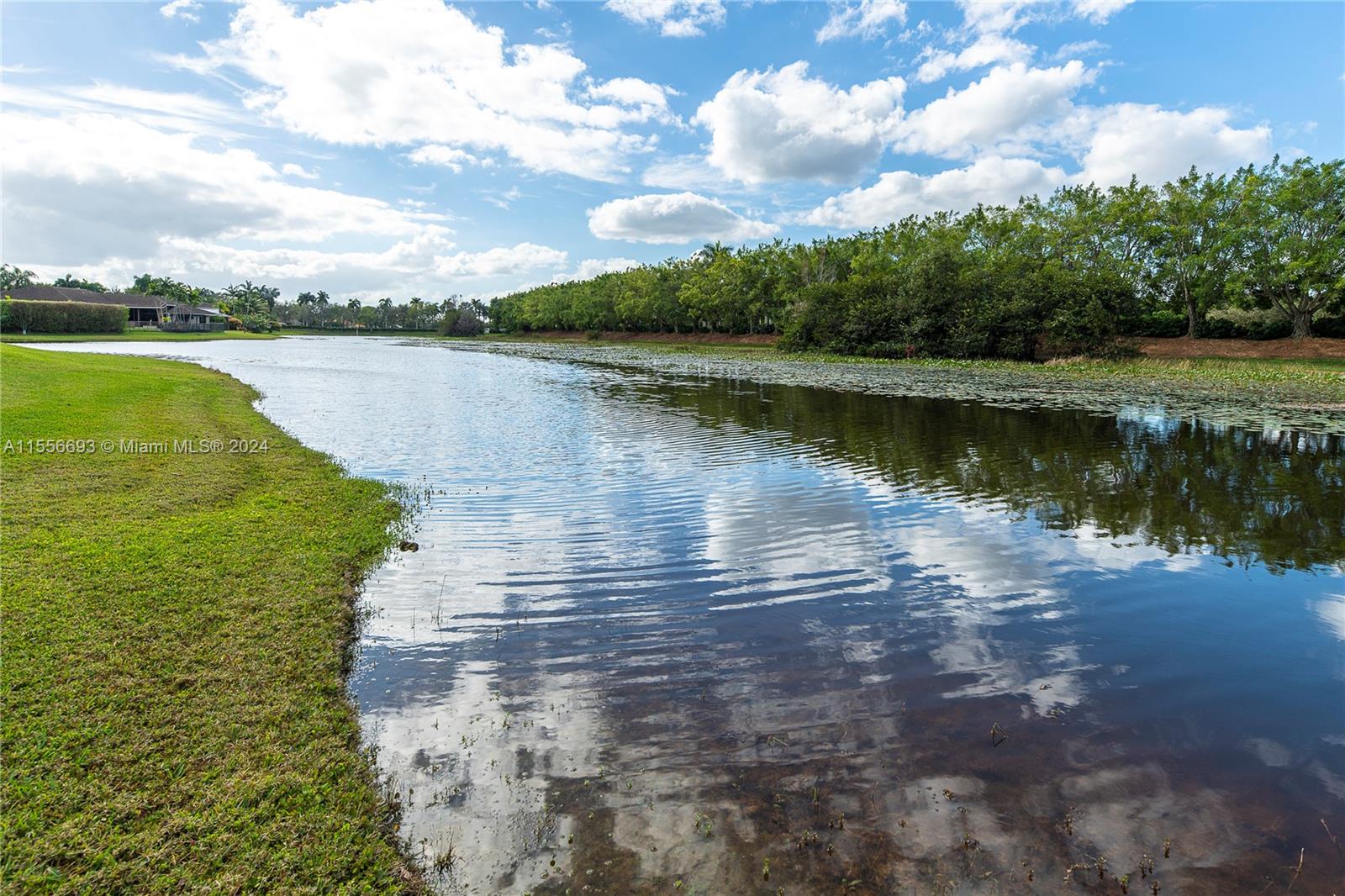 580 Cascade Falls Dr, Weston, Florida image 4