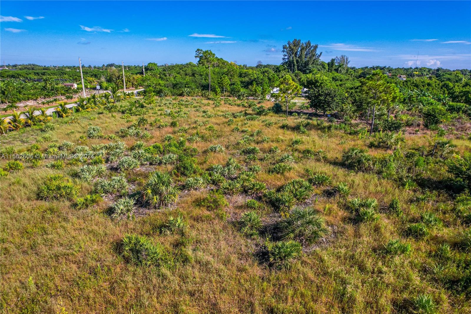 SW 202nd Ave, Homestead, Florida image 9