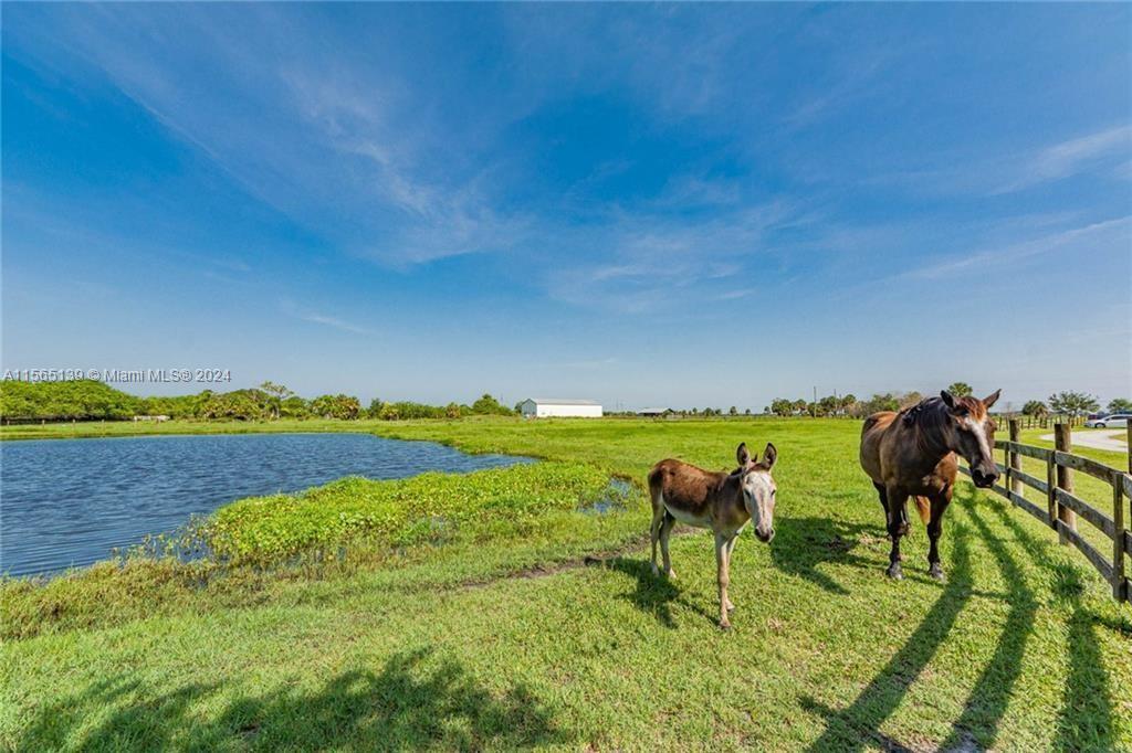 14750 101st St, Fellsmere, Florida image 38