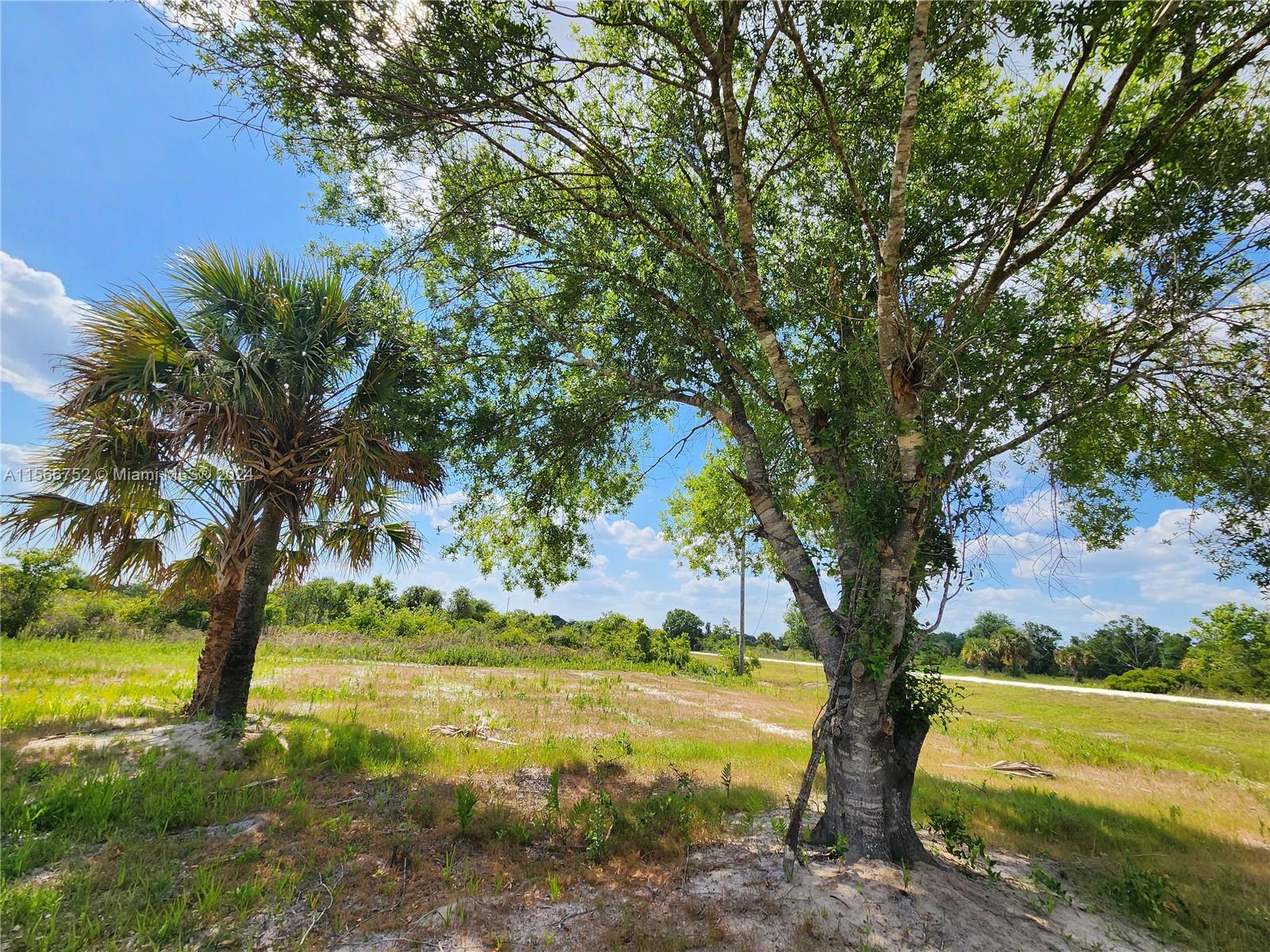 17212 NW 288, Okeechobee, Florida image 10