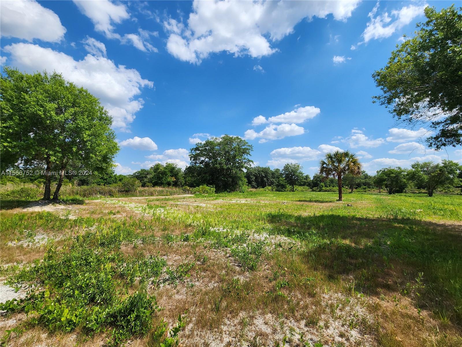 17212 NW 288, Okeechobee, Florida image 12