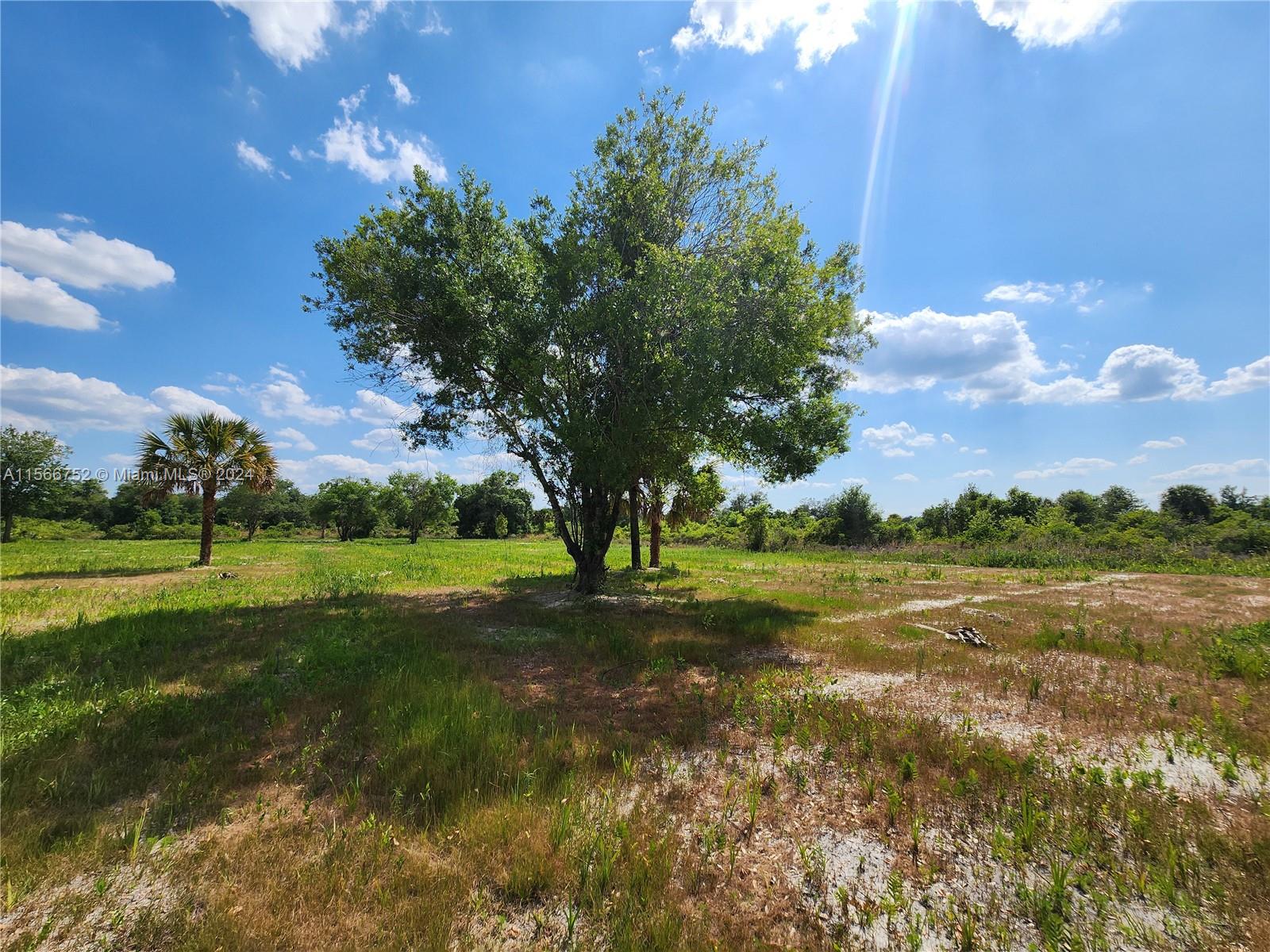 17212 NW 288, Okeechobee, Florida image 7