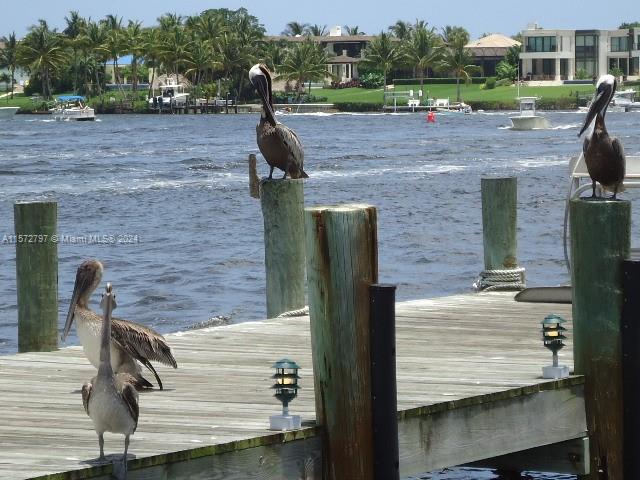 9109 SE Riverfront Ter #B, Jupiter, Florida image 38