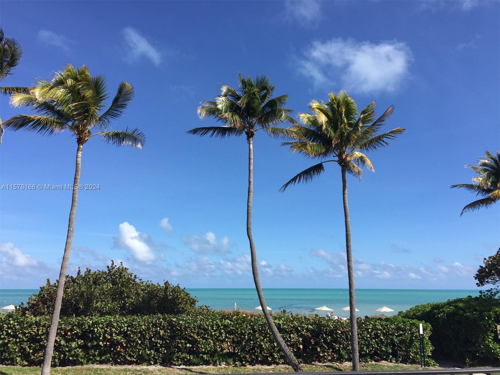 251 Crandon Blvd #408, Key Biscayne FL 33149