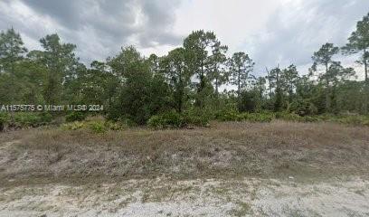 621 Grant Avenue, Lehigh Acres, Florida image 1