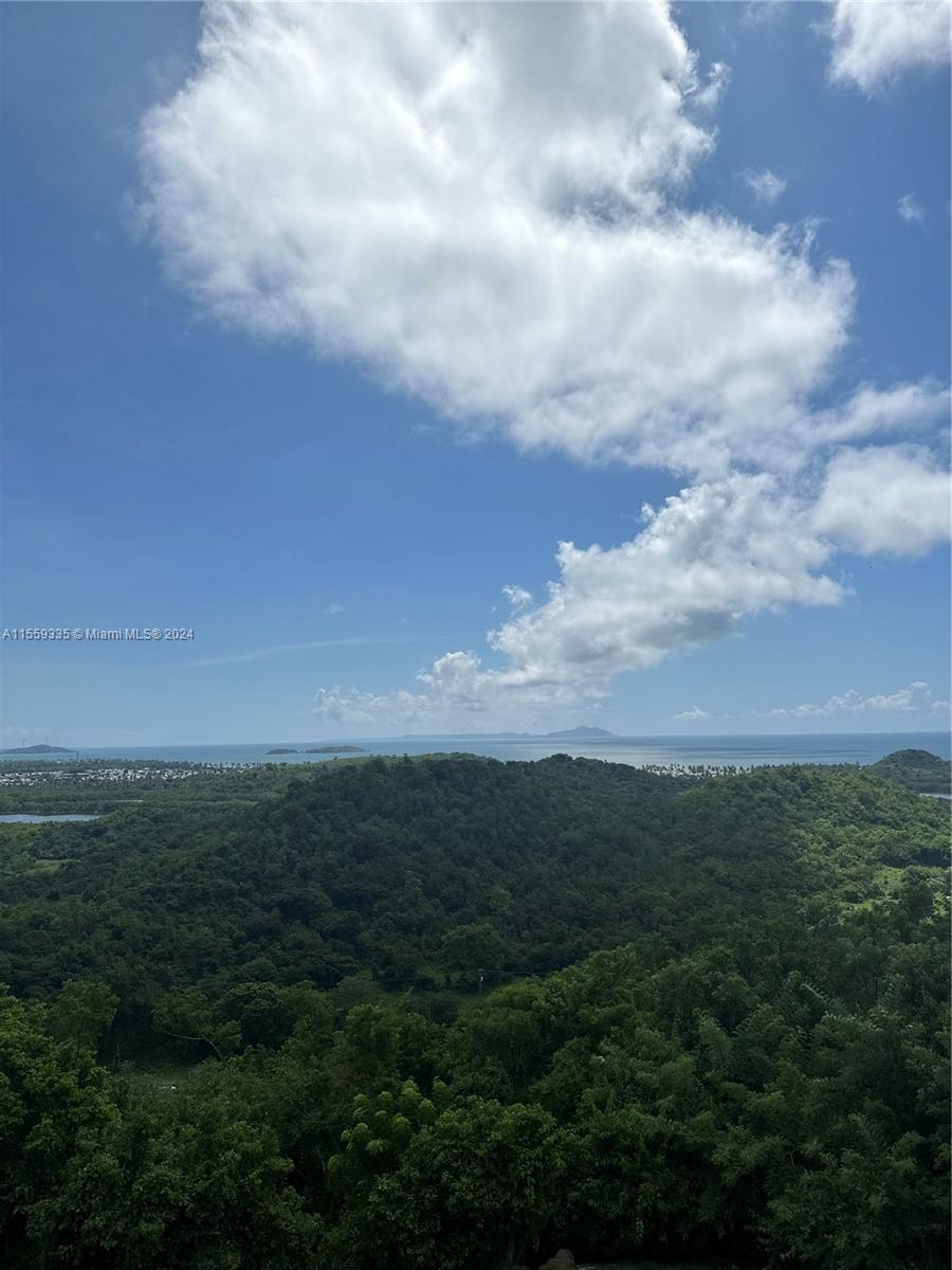 Barrio Anton Ruiz Y PR - 925,  Humacao, Humacao, Puerto Rico image 5