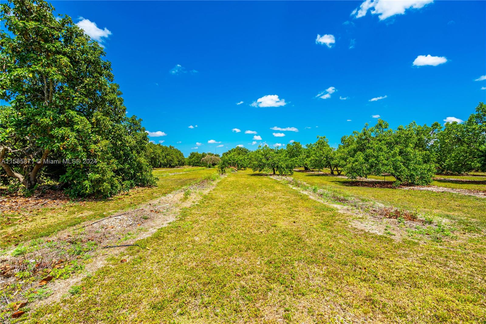 254XX Sw 217 Ave, Homestead, Florida image 19